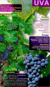 infografia-salud-uva
