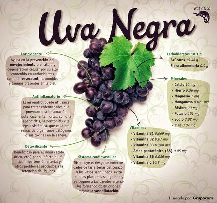 infografia-uva-negra