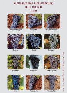 variedades-mas-representativas