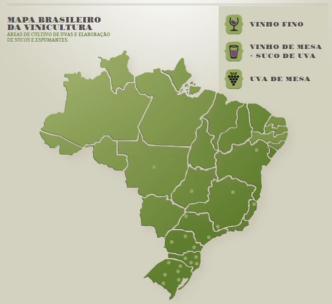 brasil-viñedos