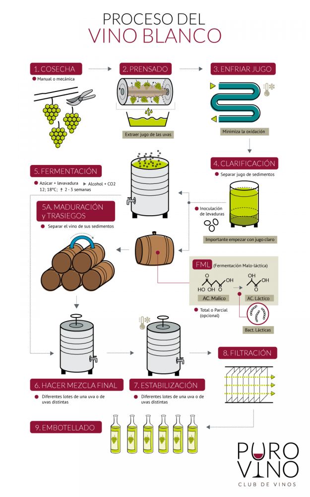 info-proceso-vino-blanco