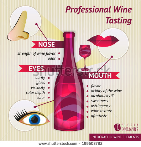 professional-wine-tasting