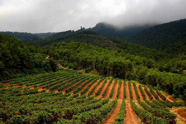 Los 12 viñedos más espectaculares de España y Portugal - vinopack