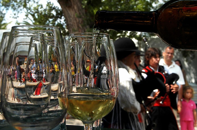 13 fiestas del vino que no te puedes perder en España ...