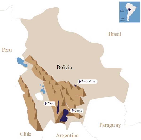 bolivia-viñedos