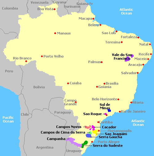 brasil-vinos