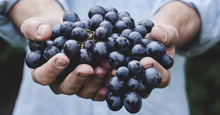 uvas-grapes